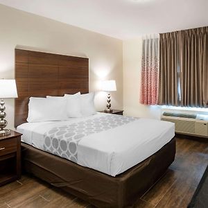 Chambre Accessible aux Personnes à Mobilité Réduite Lit King-Size